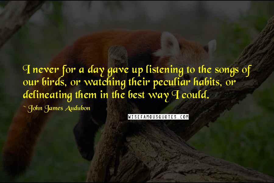 John James Audubon Quotes: I never for a day gave up listening to the songs of our birds, or watching their peculiar habits, or delineating them in the best way I could.