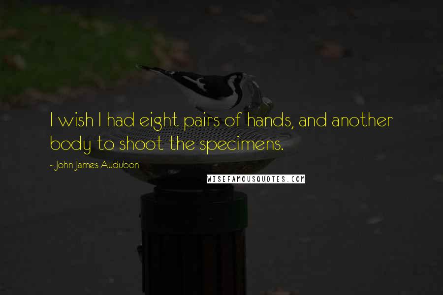 John James Audubon Quotes: I wish I had eight pairs of hands, and another body to shoot the specimens.