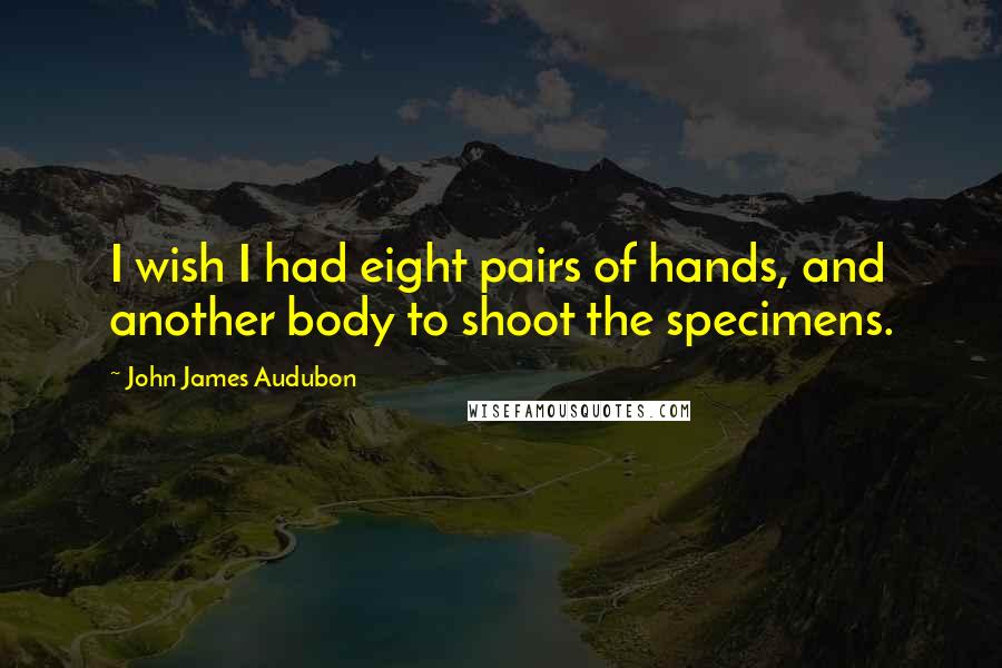 John James Audubon Quotes: I wish I had eight pairs of hands, and another body to shoot the specimens.