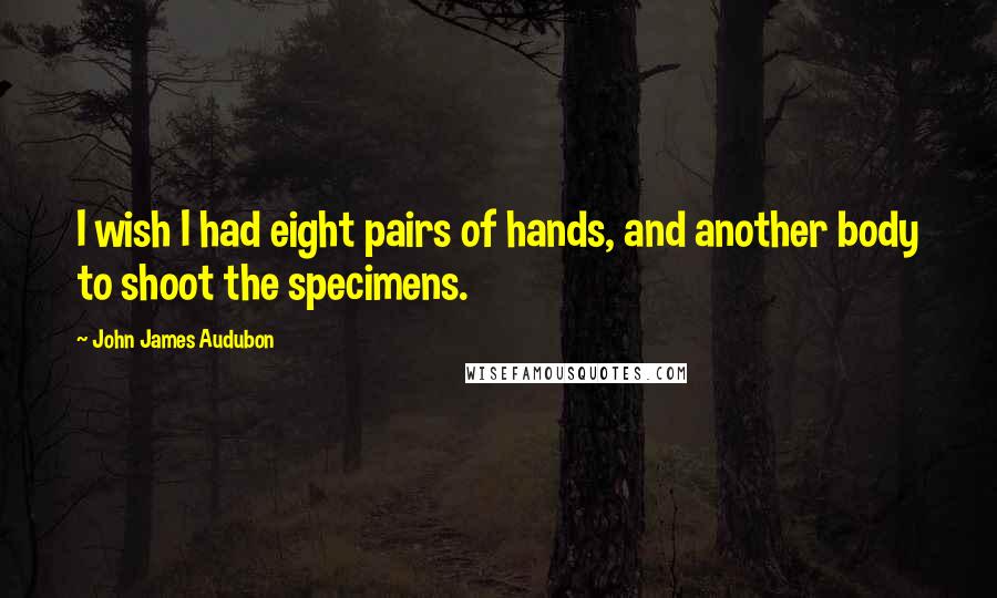 John James Audubon Quotes: I wish I had eight pairs of hands, and another body to shoot the specimens.