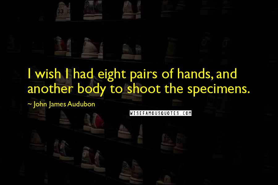 John James Audubon Quotes: I wish I had eight pairs of hands, and another body to shoot the specimens.