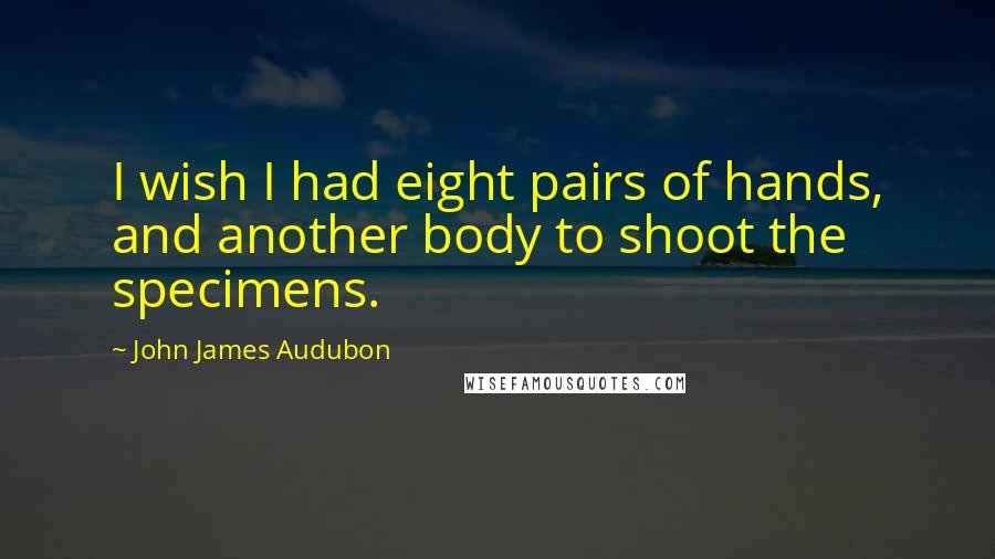 John James Audubon Quotes: I wish I had eight pairs of hands, and another body to shoot the specimens.