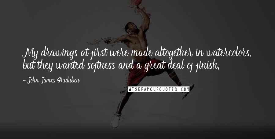 John James Audubon Quotes: My drawings at first were made altogether in watercolors, but they wanted softness and a great deal of finish.