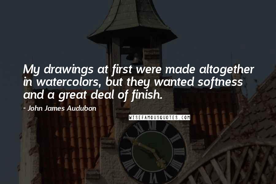 John James Audubon Quotes: My drawings at first were made altogether in watercolors, but they wanted softness and a great deal of finish.