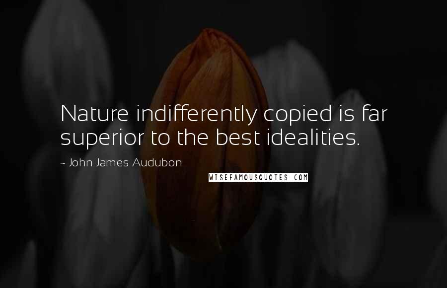 John James Audubon Quotes: Nature indifferently copied is far superior to the best idealities.