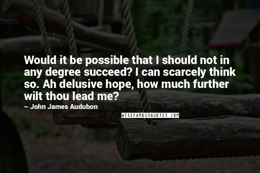 John James Audubon Quotes: Would it be possible that I should not in any degree succeed? I can scarcely think so. Ah delusive hope, how much further wilt thou lead me?
