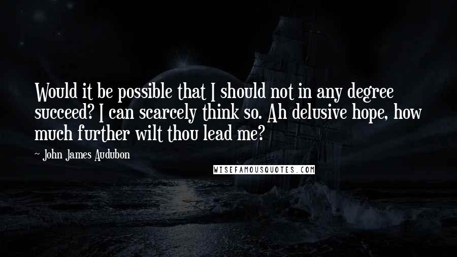 John James Audubon Quotes: Would it be possible that I should not in any degree succeed? I can scarcely think so. Ah delusive hope, how much further wilt thou lead me?