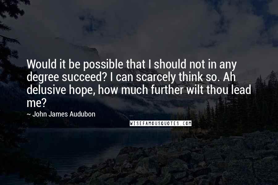 John James Audubon Quotes: Would it be possible that I should not in any degree succeed? I can scarcely think so. Ah delusive hope, how much further wilt thou lead me?