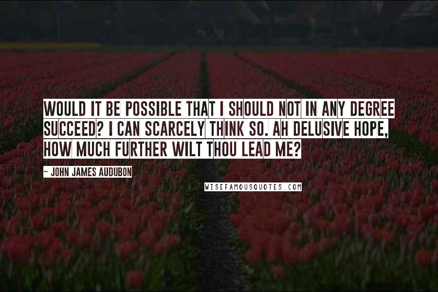 John James Audubon Quotes: Would it be possible that I should not in any degree succeed? I can scarcely think so. Ah delusive hope, how much further wilt thou lead me?