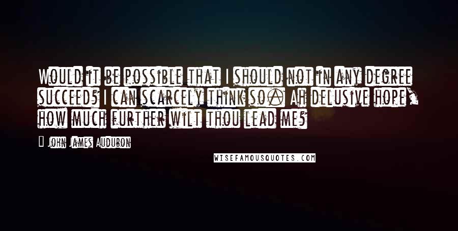 John James Audubon Quotes: Would it be possible that I should not in any degree succeed? I can scarcely think so. Ah delusive hope, how much further wilt thou lead me?