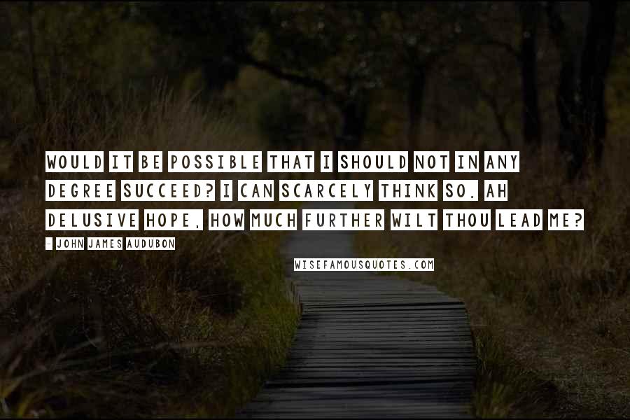 John James Audubon Quotes: Would it be possible that I should not in any degree succeed? I can scarcely think so. Ah delusive hope, how much further wilt thou lead me?