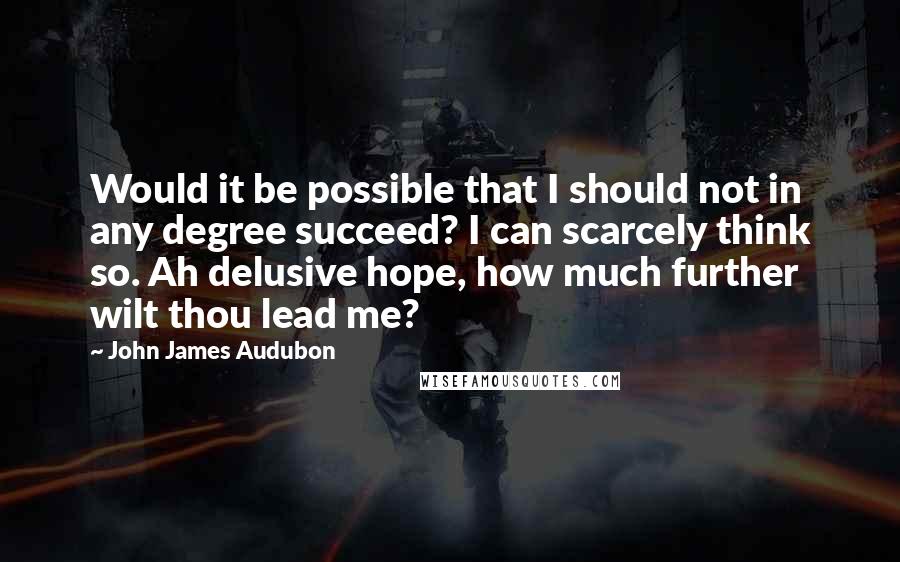 John James Audubon Quotes: Would it be possible that I should not in any degree succeed? I can scarcely think so. Ah delusive hope, how much further wilt thou lead me?