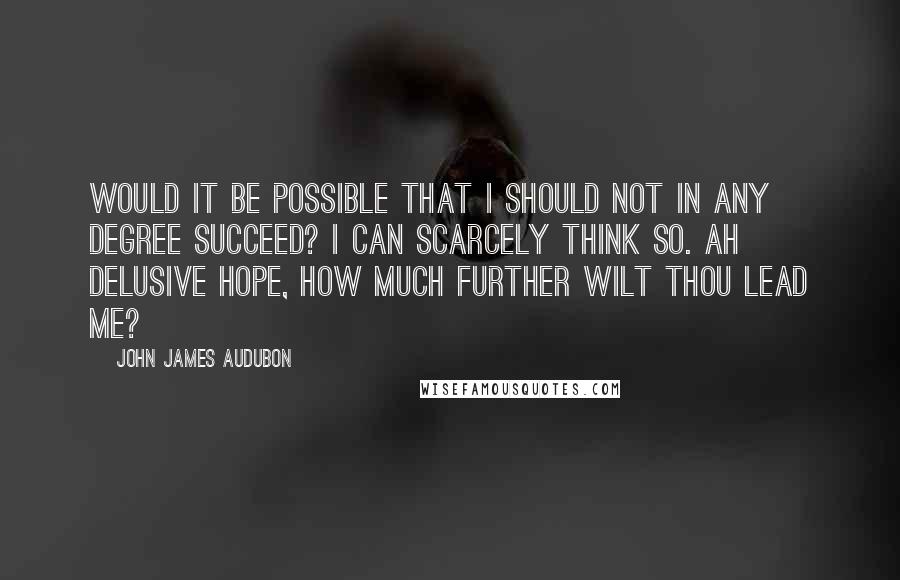 John James Audubon Quotes: Would it be possible that I should not in any degree succeed? I can scarcely think so. Ah delusive hope, how much further wilt thou lead me?