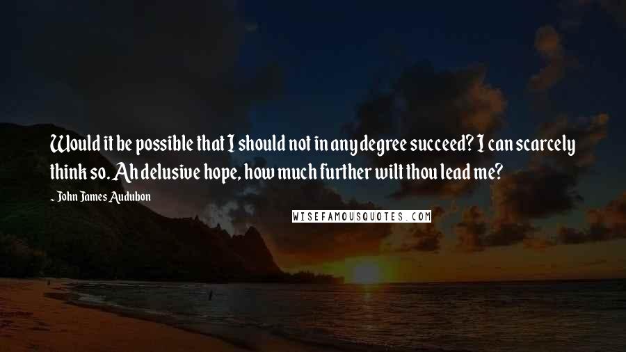 John James Audubon Quotes: Would it be possible that I should not in any degree succeed? I can scarcely think so. Ah delusive hope, how much further wilt thou lead me?