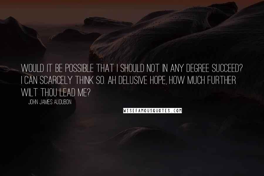 John James Audubon Quotes: Would it be possible that I should not in any degree succeed? I can scarcely think so. Ah delusive hope, how much further wilt thou lead me?