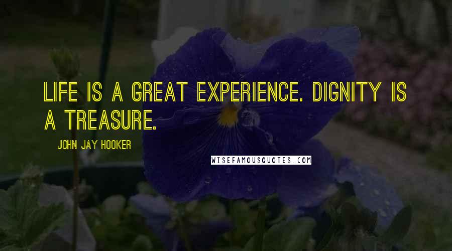 John Jay Hooker Quotes: Life is a great experience. Dignity is a treasure.