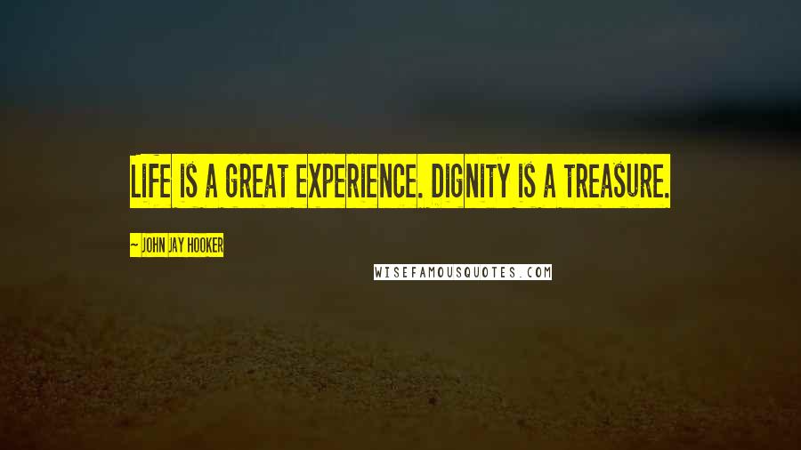 John Jay Hooker Quotes: Life is a great experience. Dignity is a treasure.