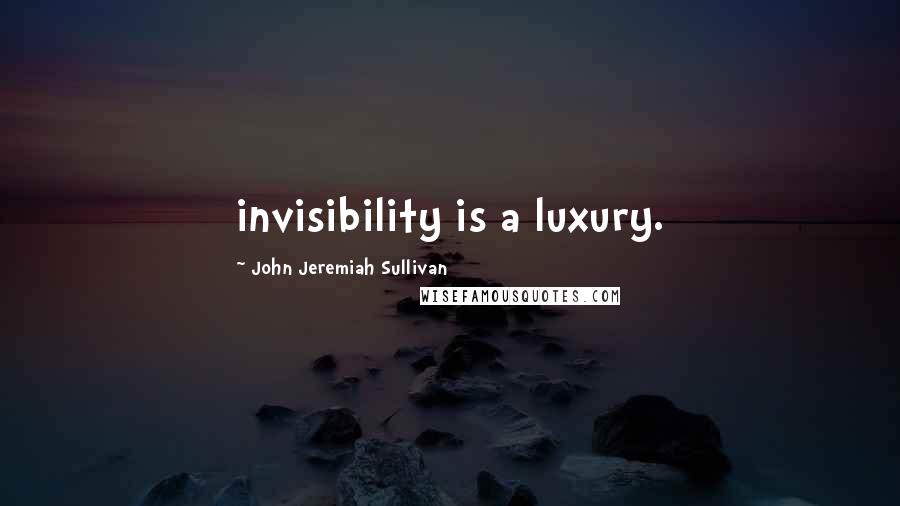 John Jeremiah Sullivan Quotes: invisibility is a luxury.