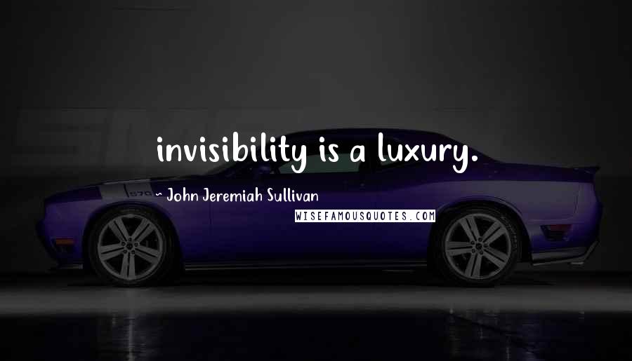 John Jeremiah Sullivan Quotes: invisibility is a luxury.