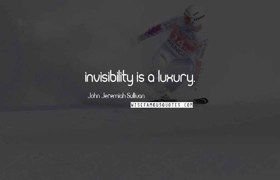 John Jeremiah Sullivan Quotes: invisibility is a luxury.