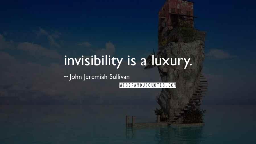 John Jeremiah Sullivan Quotes: invisibility is a luxury.