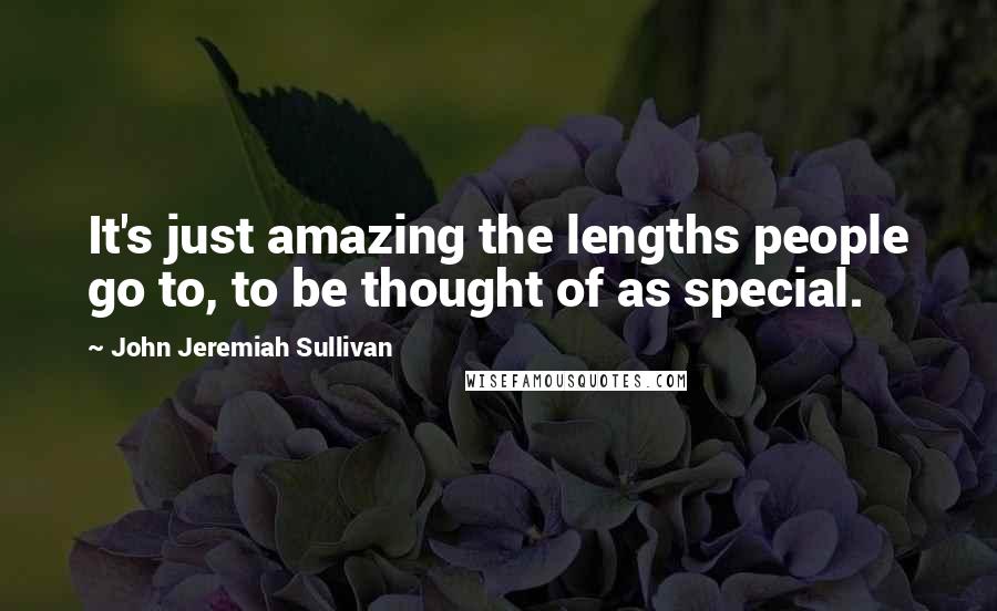 John Jeremiah Sullivan Quotes: It's just amazing the lengths people go to, to be thought of as special.