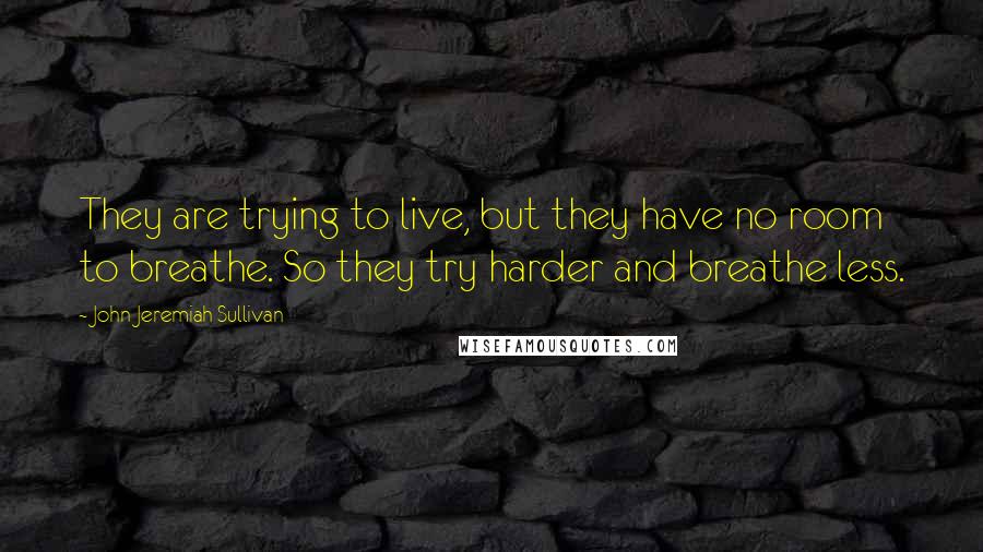John Jeremiah Sullivan Quotes: They are trying to live, but they have no room to breathe. So they try harder and breathe less.