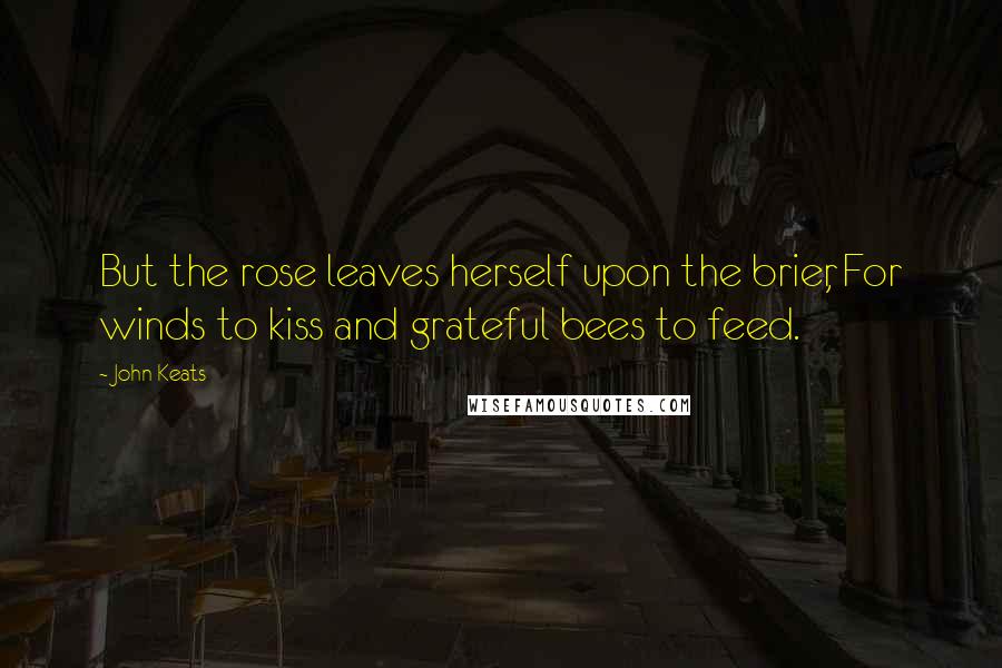 John Keats Quotes: But the rose leaves herself upon the brier, For winds to kiss and grateful bees to feed.