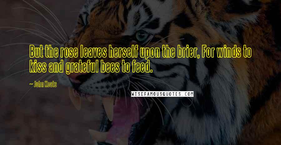 John Keats Quotes: But the rose leaves herself upon the brier, For winds to kiss and grateful bees to feed.