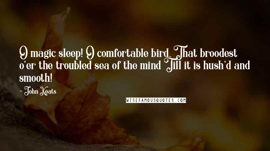 John Keats Quotes: O magic sleep! O comfortable bird, That broodest o'er the troubled sea of the mind Till it is hush'd and smooth!