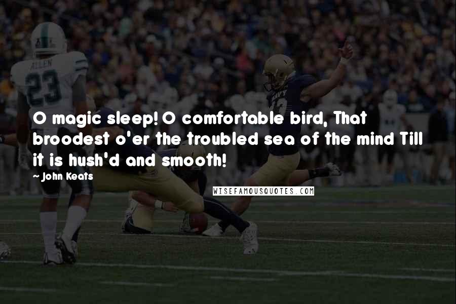 John Keats Quotes: O magic sleep! O comfortable bird, That broodest o'er the troubled sea of the mind Till it is hush'd and smooth!