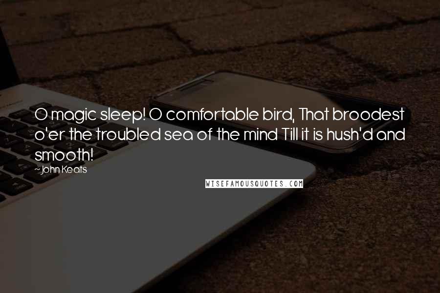 John Keats Quotes: O magic sleep! O comfortable bird, That broodest o'er the troubled sea of the mind Till it is hush'd and smooth!