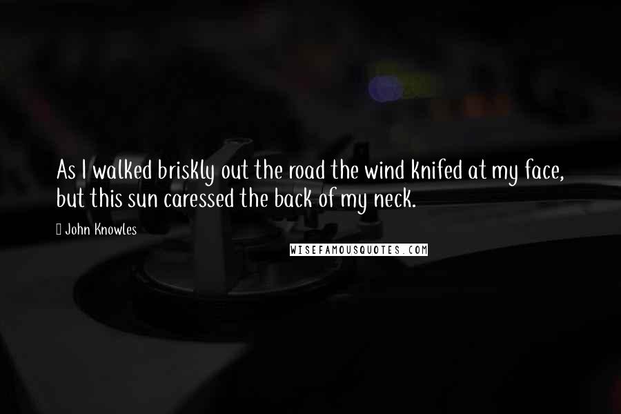 John Knowles Quotes: As I walked briskly out the road the wind knifed at my face, but this sun caressed the back of my neck.