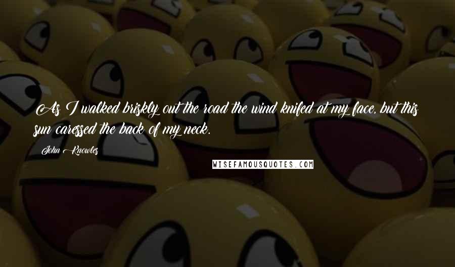 John Knowles Quotes: As I walked briskly out the road the wind knifed at my face, but this sun caressed the back of my neck.