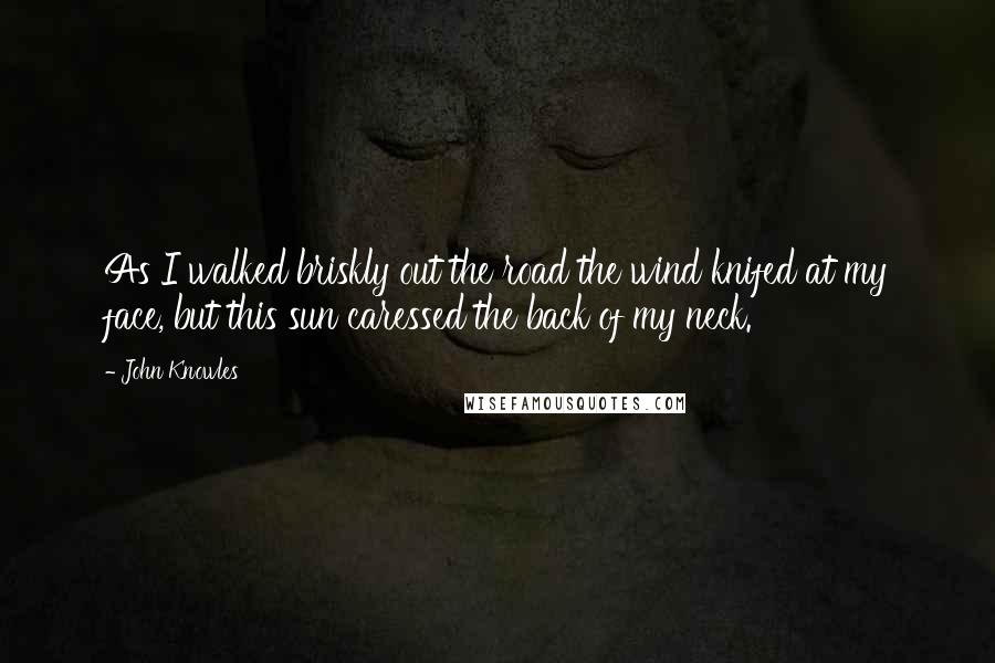 John Knowles Quotes: As I walked briskly out the road the wind knifed at my face, but this sun caressed the back of my neck.