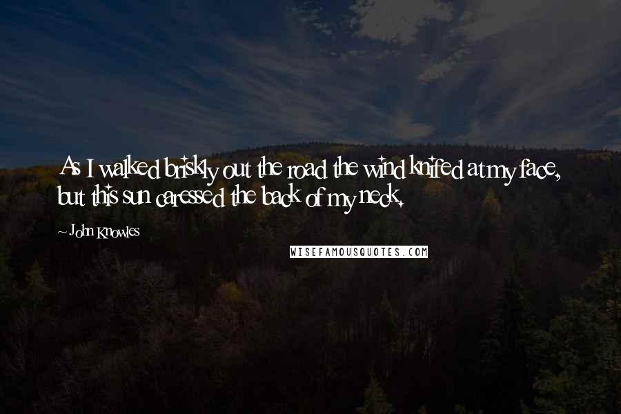 John Knowles Quotes: As I walked briskly out the road the wind knifed at my face, but this sun caressed the back of my neck.