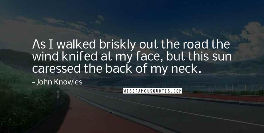 John Knowles Quotes: As I walked briskly out the road the wind knifed at my face, but this sun caressed the back of my neck.