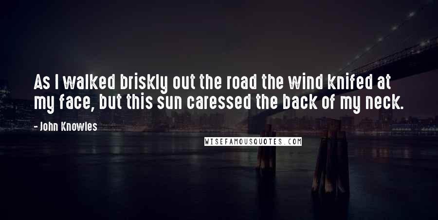 John Knowles Quotes: As I walked briskly out the road the wind knifed at my face, but this sun caressed the back of my neck.