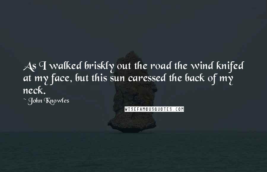 John Knowles Quotes: As I walked briskly out the road the wind knifed at my face, but this sun caressed the back of my neck.