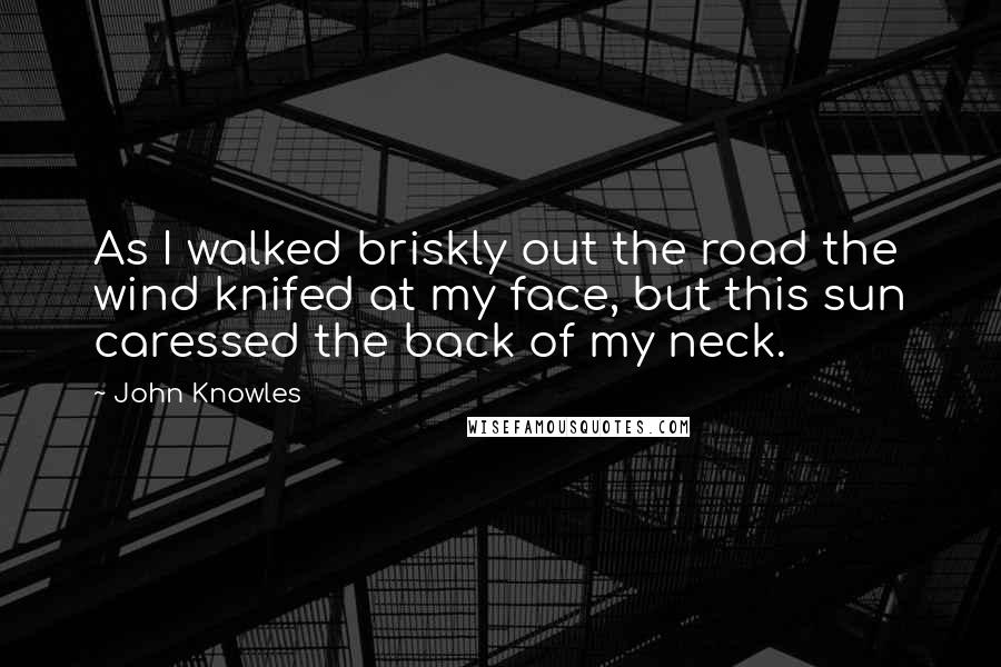 John Knowles Quotes: As I walked briskly out the road the wind knifed at my face, but this sun caressed the back of my neck.