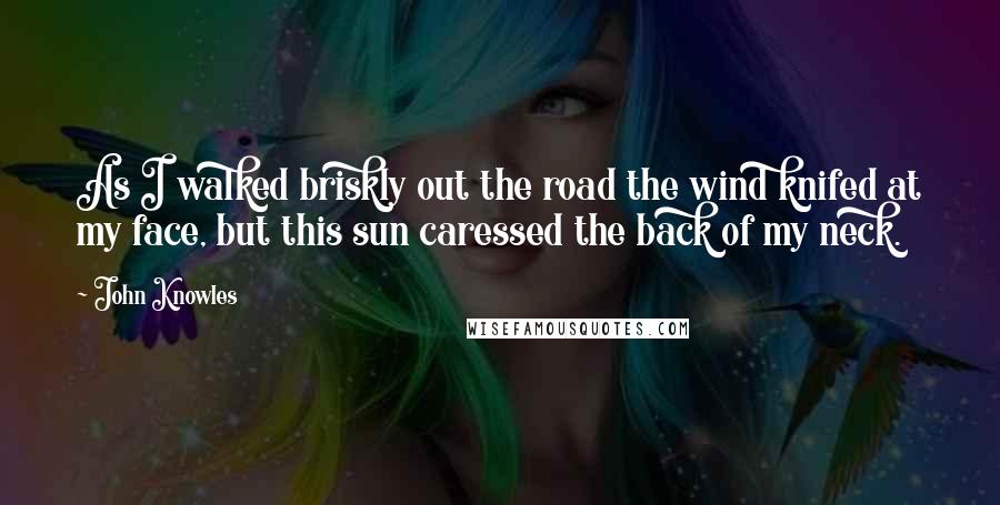 John Knowles Quotes: As I walked briskly out the road the wind knifed at my face, but this sun caressed the back of my neck.