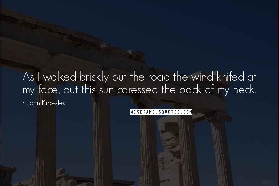 John Knowles Quotes: As I walked briskly out the road the wind knifed at my face, but this sun caressed the back of my neck.