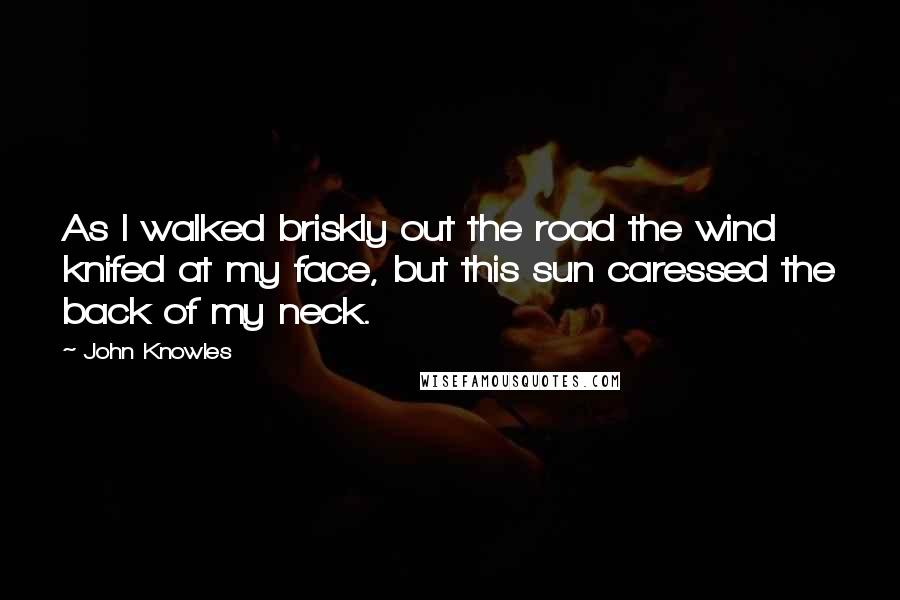 John Knowles Quotes: As I walked briskly out the road the wind knifed at my face, but this sun caressed the back of my neck.