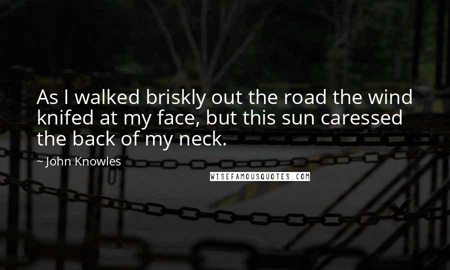 John Knowles Quotes: As I walked briskly out the road the wind knifed at my face, but this sun caressed the back of my neck.