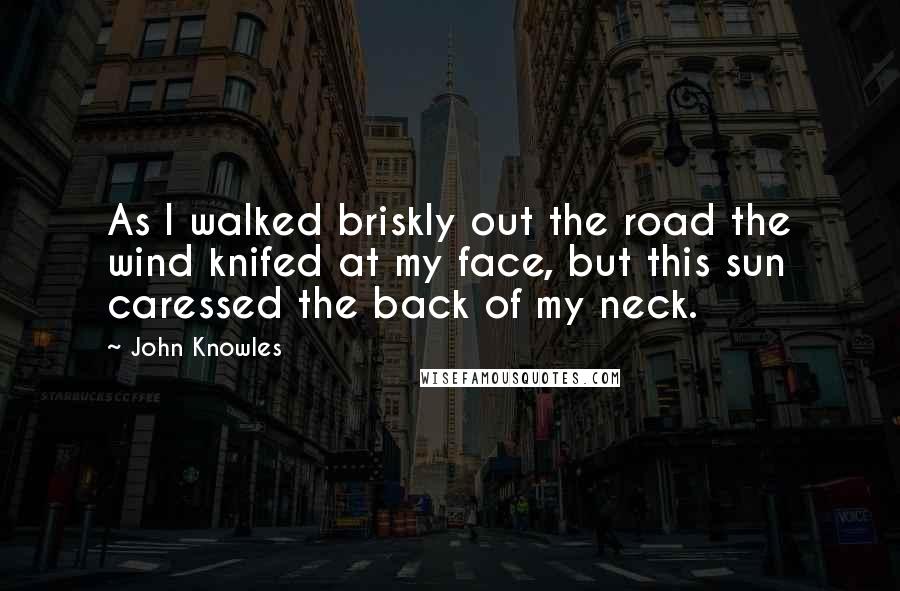 John Knowles Quotes: As I walked briskly out the road the wind knifed at my face, but this sun caressed the back of my neck.