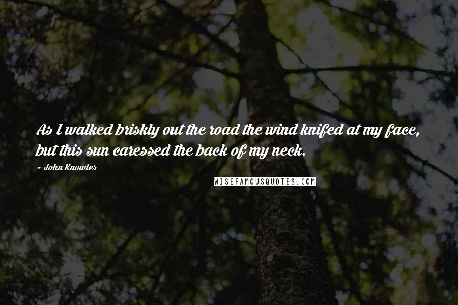 John Knowles Quotes: As I walked briskly out the road the wind knifed at my face, but this sun caressed the back of my neck.