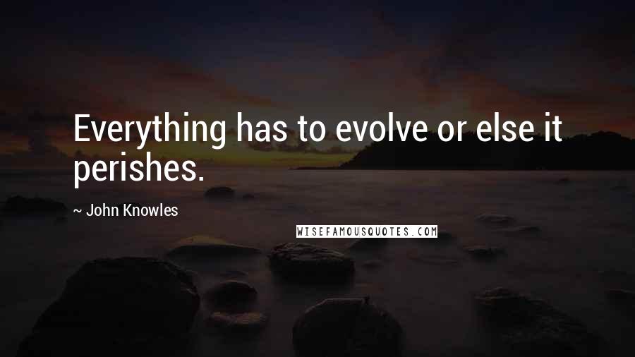 John Knowles Quotes: Everything has to evolve or else it perishes.