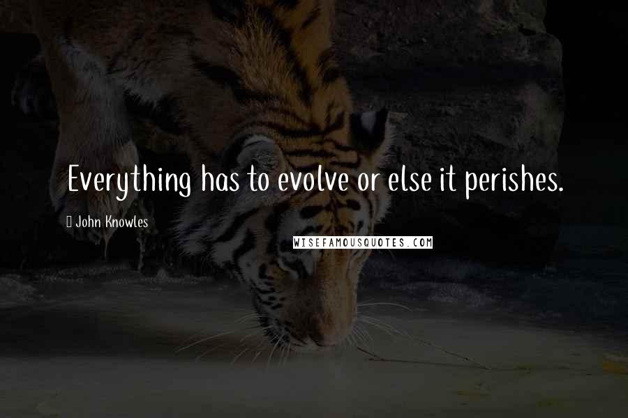 John Knowles Quotes: Everything has to evolve or else it perishes.