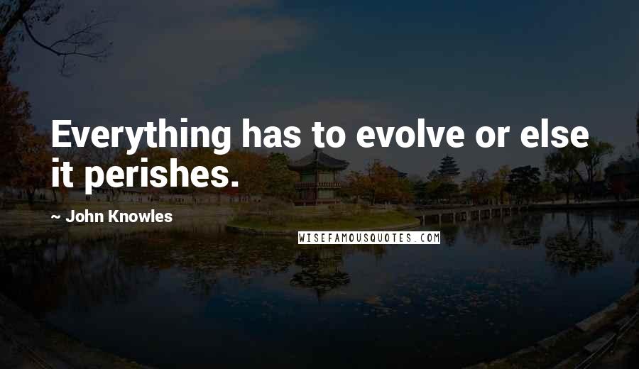 John Knowles Quotes: Everything has to evolve or else it perishes.