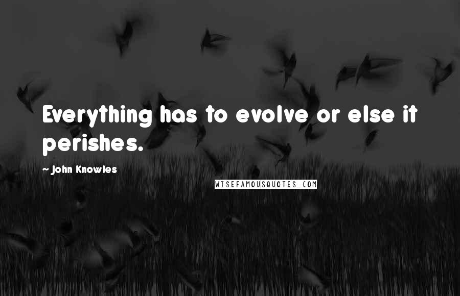 John Knowles Quotes: Everything has to evolve or else it perishes.